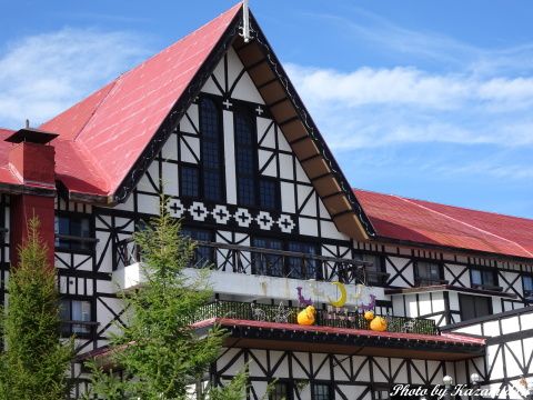 ハロウィーン飾り