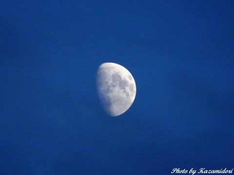 一昨日の月