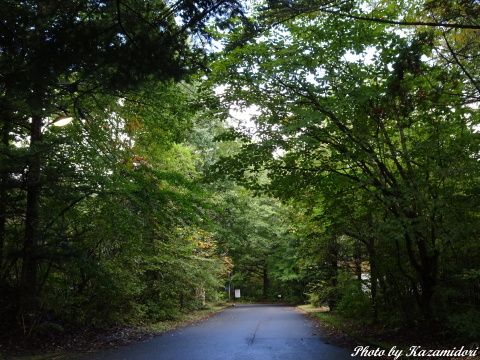 雨上がりの別荘地