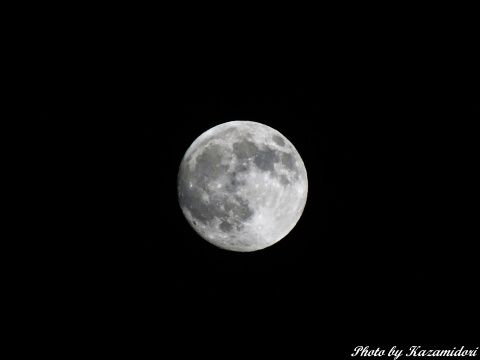中秋の名月