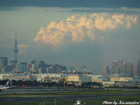 スカイツリーと入道雲